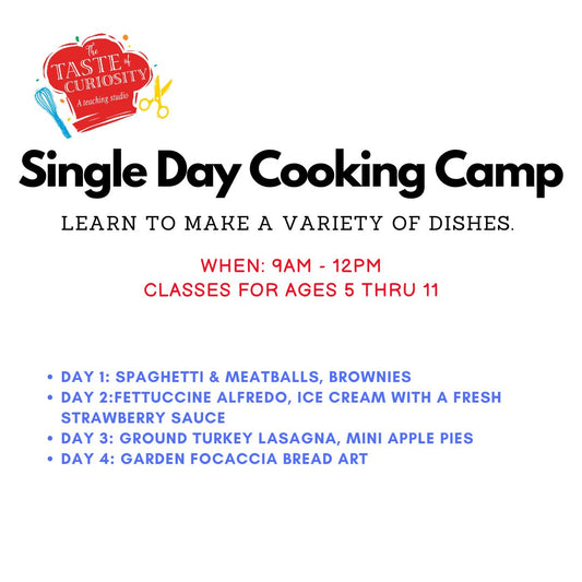 SINGLE DAYS -Summer Camps Ages 5 thru 11 ( 9AM - 12PM)